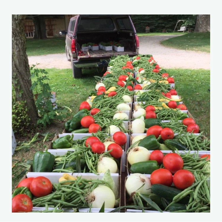 Nourish Produce